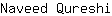 N***i
