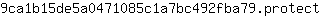 9***t