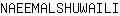 N***I