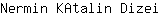 N***i