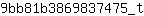 9***t