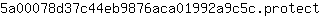 5***t