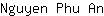 N***n