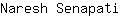 N***i