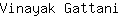 V***i