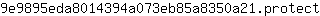 9***t