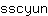 s***n
