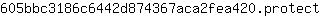 6***t