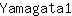 Y***1