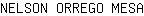 N***A