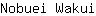 N***i
