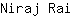 N***i