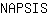 N***S