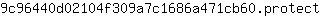 9***t