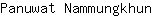 P***n