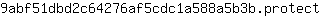 9***t