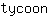 t***n