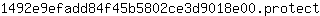 1***t