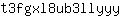 t***y