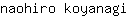 n***i