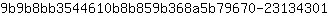 9***1