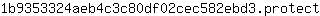 1***t