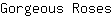 G***s