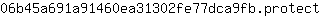 0***t