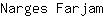 N***m