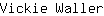 V***r