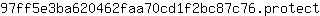 9***t