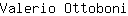 V***i