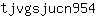 t***4