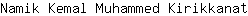 N***t