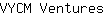 V***s