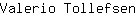 V***n