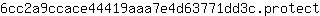 6***t