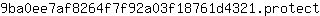 9***t