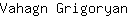 V***n