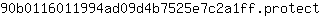 9***t