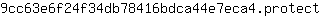 9***t