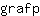 g***p