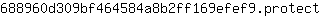 6***t