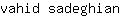 v***n