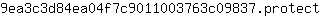 9***t
