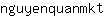 n***t