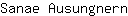 S***n