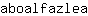 a***a