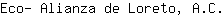 E***C.