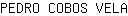 P***A